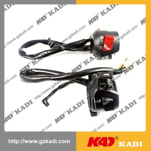 QIANJIANG HORSE150-18A Interruptor de mango