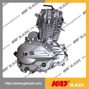 QIANJIANG HORSE150-18A Motor