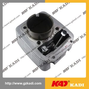 QIANJIANG QJ150-19A cilindro