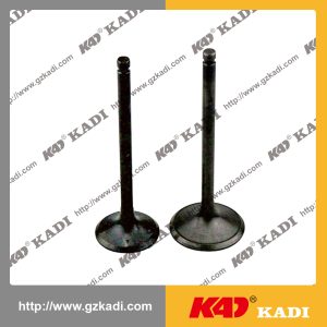 QINGQI GXT-200 Válvulas de escape de admisión