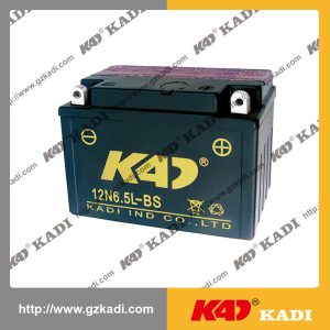 12N6.5L Dry battery