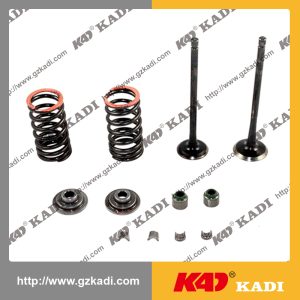 BAJAJ BOXER BM100 Valve kit