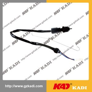 BAJAJ CT100 Brake Light Line