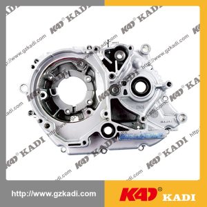 BAJAJ CT100 Crankcase fit