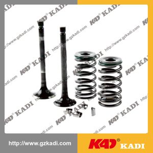 BAJAJ CT100 Valve kit