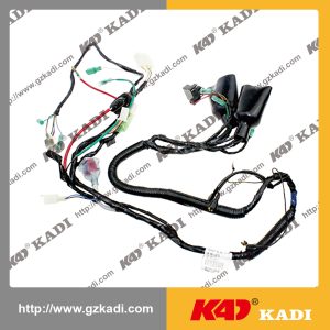 BAJAJ CT100 Wire Harness