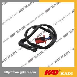 BAJAJ DISCOVER 125ST Horn Line