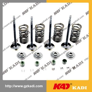 BAJAJ DISCOVER 125ST Valve kit