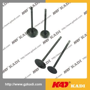 BAJAJ PULSAR 200NS Intake Exhaust Valves