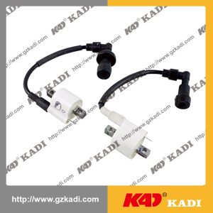 BAJAJ PULSAR135 Ignition Coil