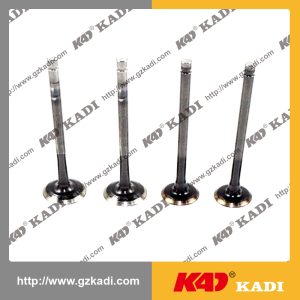 BAJAJ PULSAR135 Intake Exhaust Valves