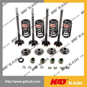 BAJAJ PULSAR135 Valve kit