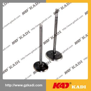 BAJAJ PULSAR180 Intake Exhaust Valves