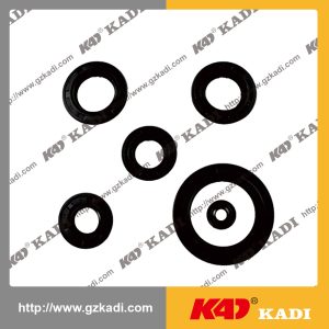 HONDA CG150 Oil Seal kit