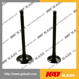 HONDA TITAN150 Intake Exhaust Valves