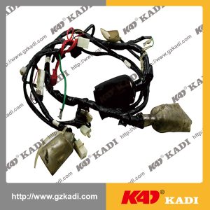 HONDA WAVE C100 Wire Harness