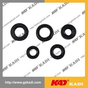 ITALIKA ST90 Oil Seal