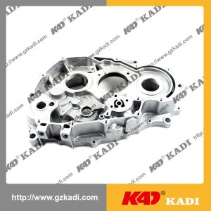 QIANJIANG HORSE 150-18A Crankcase fit