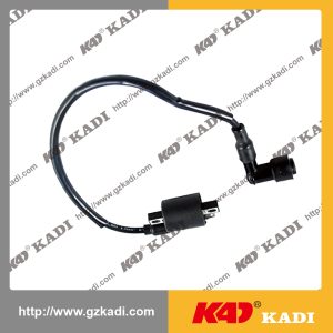QIANJIANG HORSE 150-18A Ignition Coil