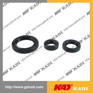 QIANJIANG HORSE 150-18A Oil seal