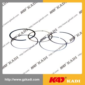 QIANJIANG HORSE 150-18A Piston Ring