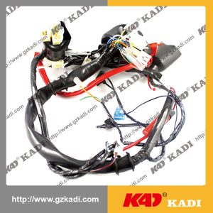 QIANJIANG HORSE 150-18A Wire Harness