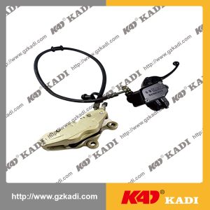 QIANJIANG QJ150-19A Brake Pump Assy