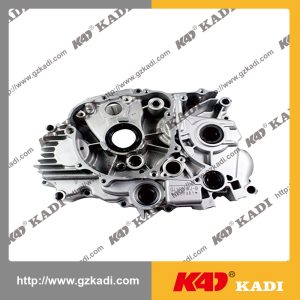 QIANJIANG QJ150-19A Crankcase fit