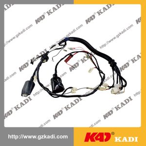 QIANJIANG QJ150-19A Wire Harness