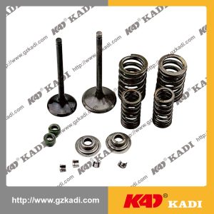 QINGQI GXT-200 Valve kit