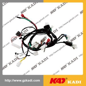 QINGQI GXT-200 Wire Harness