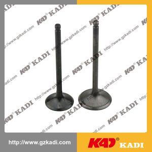 QINGQI GXT200 Intake Exhaust Valves