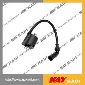 SUZUKI AX 4- 110 Ignition Coil