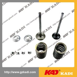 SUZUKI AX 4- 110 Valve kit