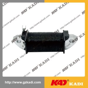 SUZUKI AX100-2 Charging coil