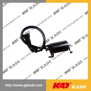 SUZUKI EN125 Ignition Coil