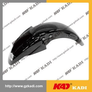 TVS100 Front Fender