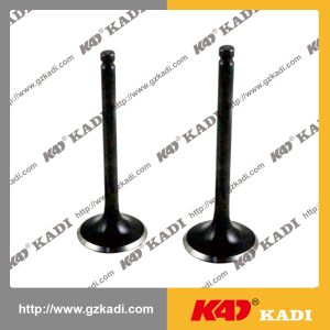 TVS100 Intake Exhaust Valves