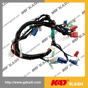 TVS100 Wire Harness