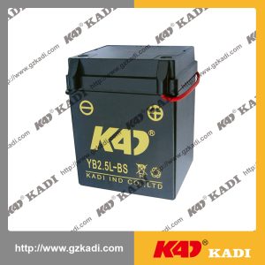 YB2.5L Dry battery