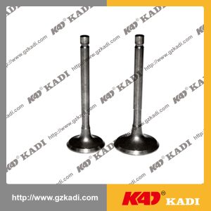 yamaha YBR125 Intake Exhaust Valves